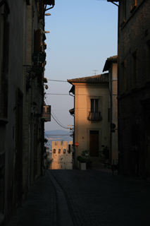 IMG_1071.jpg