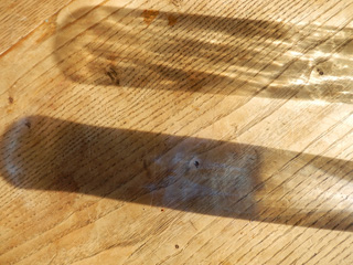 P1260053.JPG