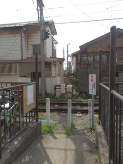 P3290164.jpg