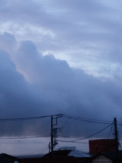 PA080146.jpg