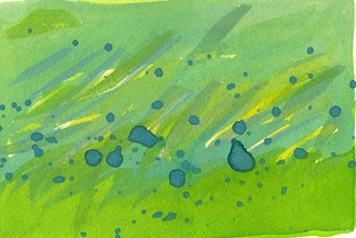 sc00017cdc.jpg
